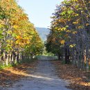 경주산림환경연구원 이미지