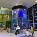 섬진강어류생태관 이미지