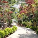 구봉산 가는길 이미지