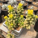 은월농장 이미지