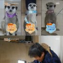 남매미용실 이미지