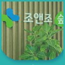 서울조앤조내과 네이버블로그