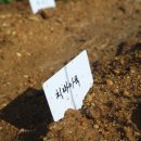 아욱골 농장 이미지