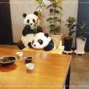 홍유단 이미지