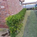 다누리펜션 이미지