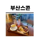 카페볼레길 이미지