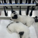 이마트24당진장고항점