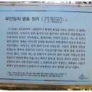 부안임씨 쌍효 정려 이미지