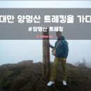 양명산
