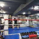 구룡복싱클럽 이미지