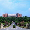 경주대박물관 이미지