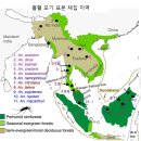 스피루스 | [생명] 모기의 인간 흡혈 역사는 180만년