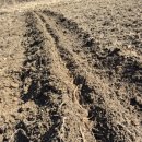 종근목장 이미지