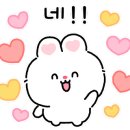 아이런스포츠아카데미