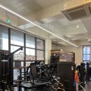 메루치양식장 | [대전] 초심pt X 메루치양식장 PT후기🏋🏻‍♀️