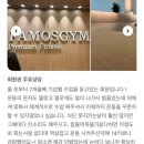 파모스짐 네이버블로그