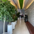 진천크라운스크린골프 이미지