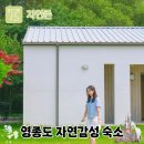 미모아 마트 | 영종도 가성비 숙소 자연감성 엔소이 펜션 비올 때 바베큐 꿀팁