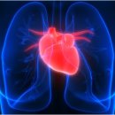 와일드짐 이미지