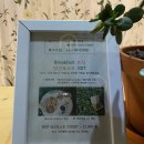 클로버비앤비 이미지