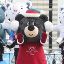 플래쉬 댄스스포츠 이미지