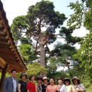 담양인문학 포럼 이미지