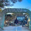 트리팜(TreeFarm)