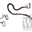 시크릿라인 이미지