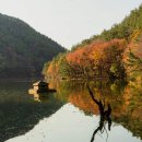 마음다짐 이미지