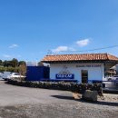 녹차분재로 이미지