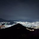 생명의 그물 1 이미지