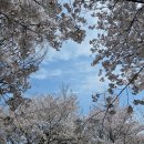 한강시민공원(화훼단지) 이미지