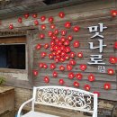 동백코스(서천-군산) 이미지