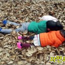 자연유아학교 이미지