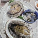 해리네 | 모슬포 횟집 해리네 횟집 방문 후기, 자연산 전복과 모둠회의 환상 조합