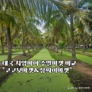 토산죽소농장 | 치앙마이 주말마켓 쇼핑 코코넛마켓 징짜이마켓 영업시간 후기