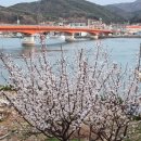 시스카이 카라빌 이미지