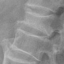 호국로789번길 이미지