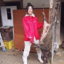 자연농 벼농사 톺아보기 (22) - 멧돼지 사냥하는 난민 여성의 삶 이미지