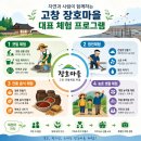 고창장호어촌체험휴양마을 | 2026년 5월 어촌여행 장호마을, 명사십리와 갯벌체험이 주목받는 이유