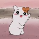 오생 이미지