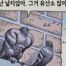 바디랩피티