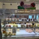 유성농업협동조합 | 하레하레 유성점 쌀카스테라 후기 🍞