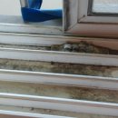 금호동 송죽아파트 이미지