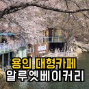 반려견 | 알루엣베이커리 벚꽃 | 사람 진짜 많음..솔직후기+반려견