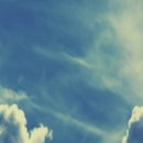 옛날에금잔디 이미지