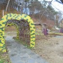 속리산보건지소 이미지