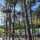 광명창조의아침미술학원-소하캠퍼스 네이버블로그