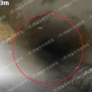 대죽서로 이미지