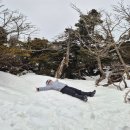 춘자네엄니밥줘 | [공지] 2월 겨울 한라산 등산 옷차림 준비물 아이젠 필수 성판악 후기